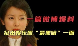 爆料娱乐圈阴暗,揭秘幕后黑幕与权力斗争